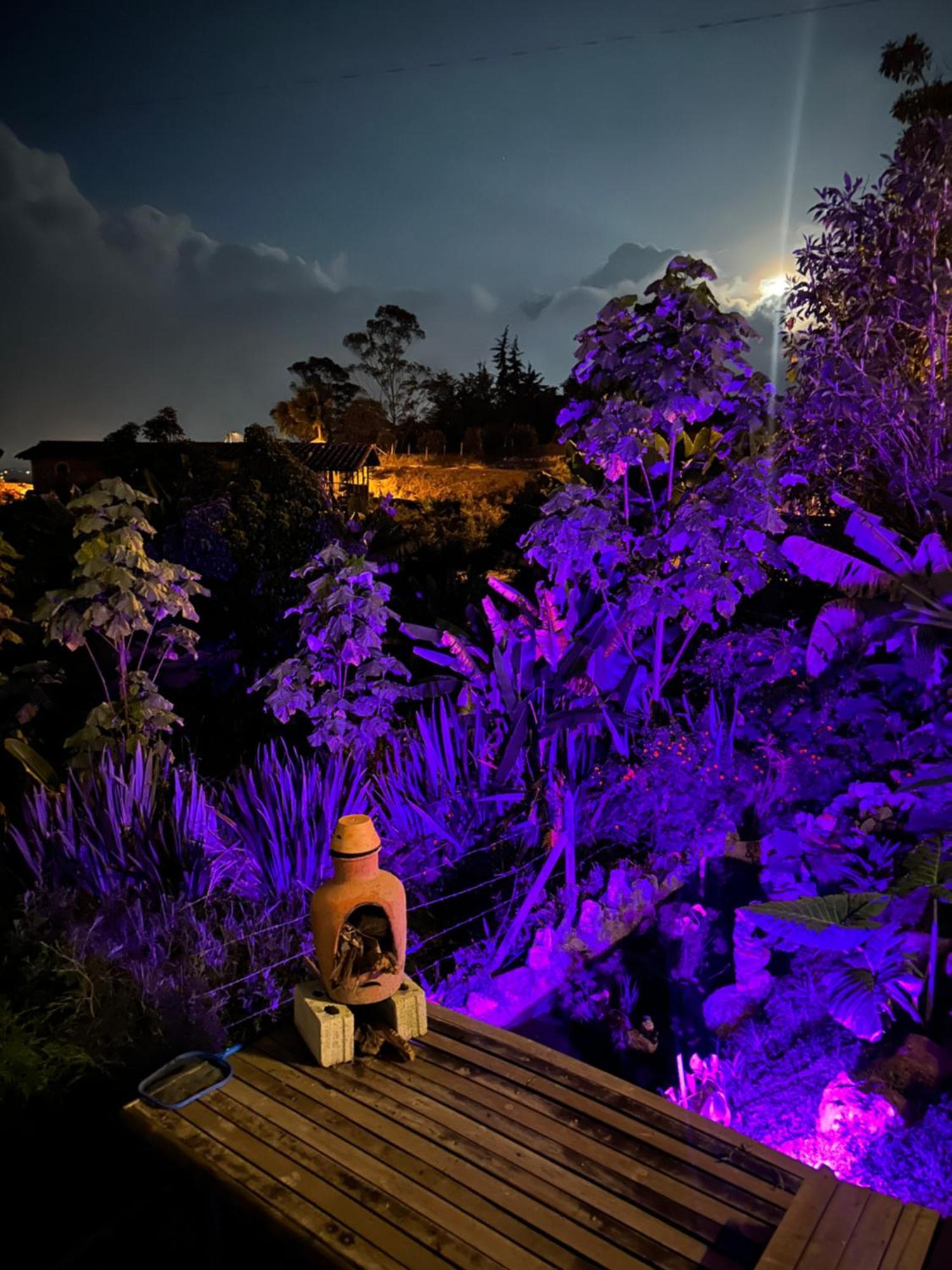 Cabanas Con Jacuzzi Y Chimenea - Casa Floral, Marinilla Eksteriør bilde