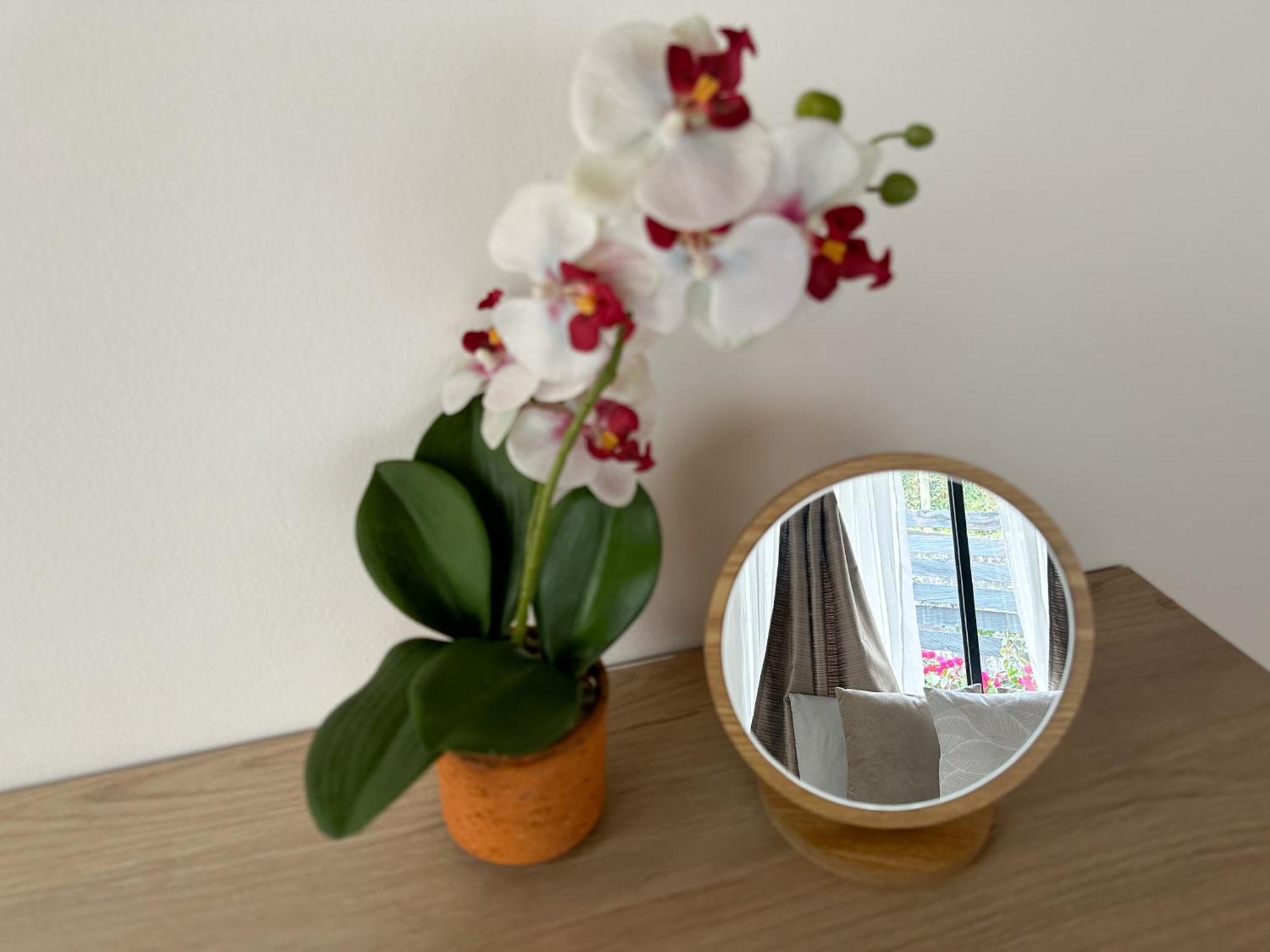 Cabanas Con Jacuzzi Y Chimenea - Casa Floral, Marinilla Eksteriør bilde